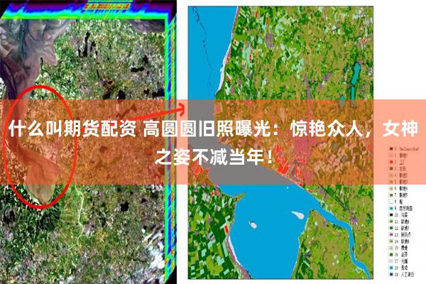 什么叫期货配资 高圆圆旧照曝光：惊艳众人，女神之姿不减当年！