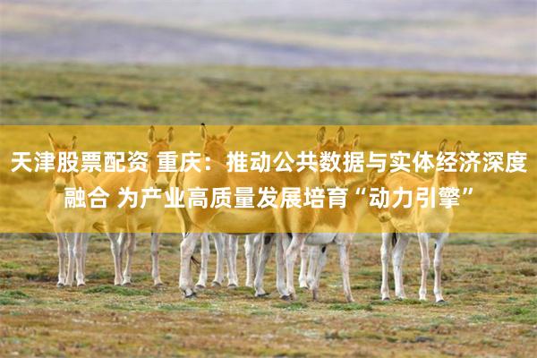 天津股票配资 重庆：推动公共数据与实体经济深度融合 为产业高质量发展培育“动力引擎”