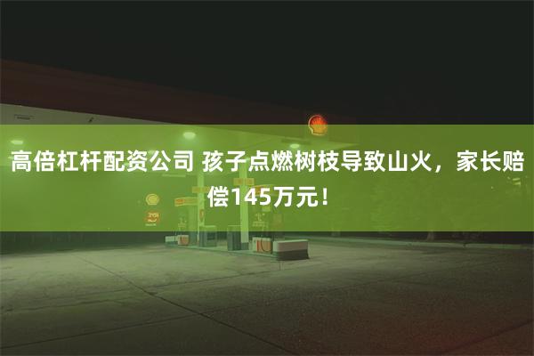 高倍杠杆配资公司 孩子点燃树枝导致山火，家长赔偿145万元！