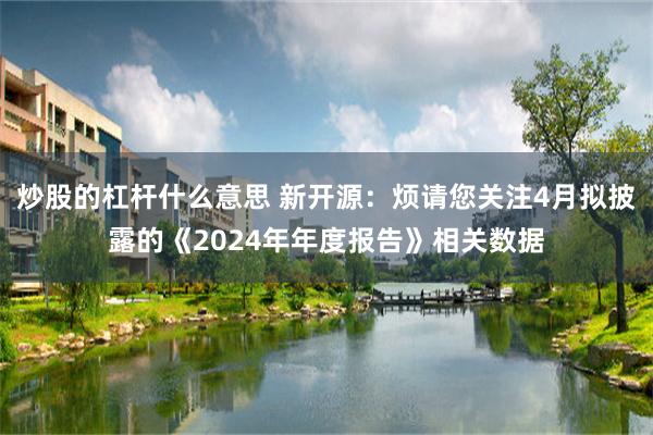 炒股的杠杆什么意思 新开源：烦请您关注4月拟披露的《2024年年度报告》相关数据