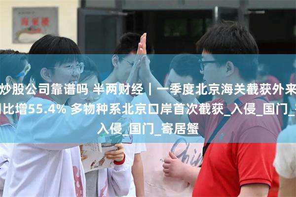 炒股公司靠谱吗 半两财经｜一季度北京海关截获外来物种同比增55.4% 多物种系北京口岸首次截获_入侵_国门_寄居蟹