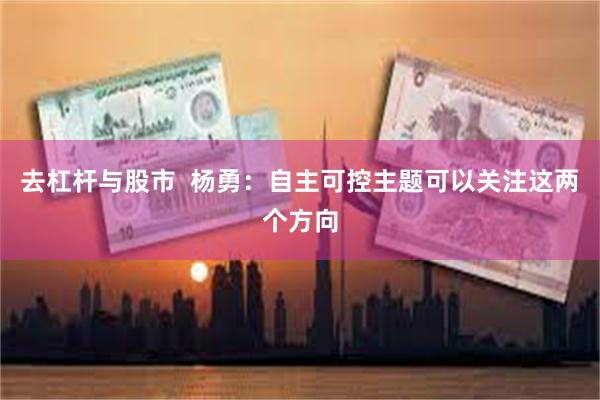 去杠杆与股市 杨勇:自主可控主题可以关注这两个方向