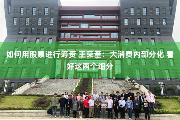 如何用股票进行筹资 王荣奎：大消费内部分化 看好这两个细分