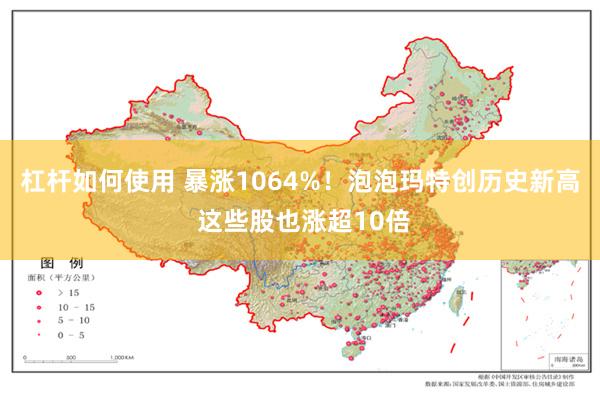 杠杆如何使用 暴涨1064%！泡泡玛特创历史新高 这些股也涨超10倍