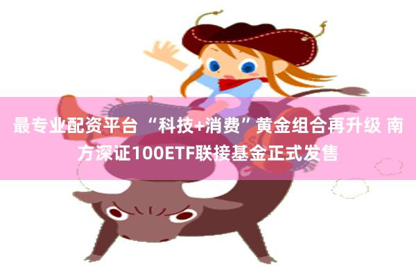 最专业配资平台 “科技+消费”黄金组合再升级 南方深证100ETF联接基金正式发售