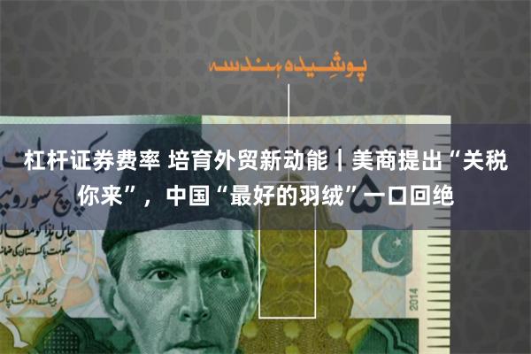 杠杆证券费率 培育外贸新动能｜美商提出“关税你来”，中国“最好的羽绒”一口回绝