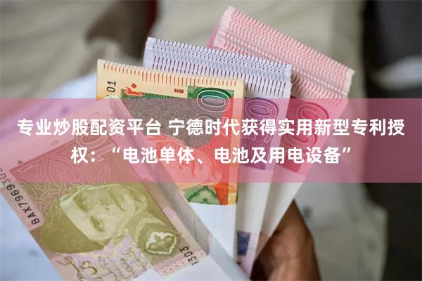 专业炒股配资平台 宁德时代获得实用新型专利授权：“电池单体、电池及用电设备”