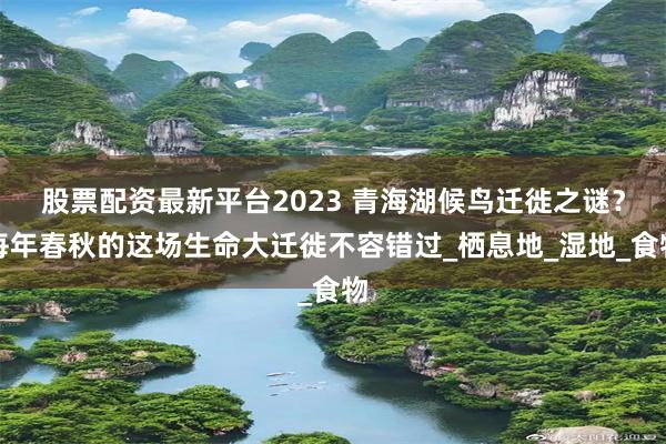 股票配资最新平台2023 青海湖候鸟迁徙之谜？每年春秋的这场生命大迁徙不容错过_栖息地_湿地_食物