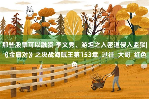 那些股票可以融资 李文秀、游坦之入密道侵入监狱|《金庸对》之决战海贼王第153章_过往_大哥_红色