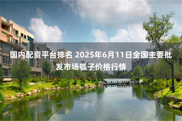 国内配资平台排名 2025年6月11日全国主要批发市场瓠子价格行情