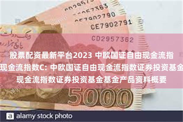 股票配资最新平台2023 中欧国证自由现金流指数A,中欧国证自由现金流指数C: 中欧国证自由现金流指数证券投资基金基金产品资料概要