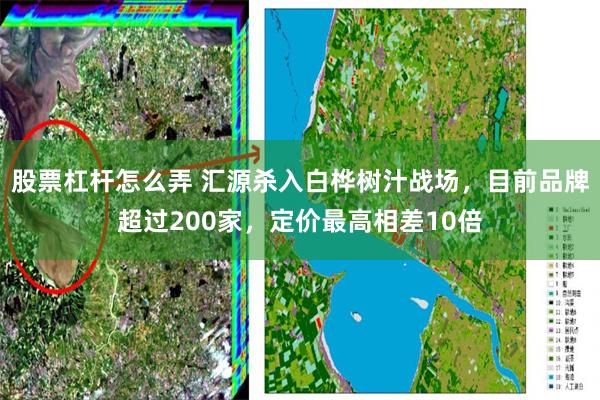 股票杠杆怎么弄 汇源杀入白桦树汁战场，目前品牌超过200家，定价最高相差10倍