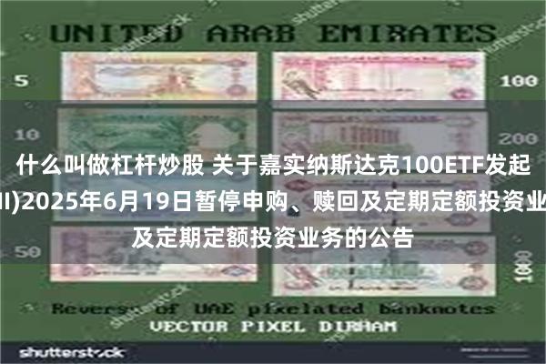 什么叫做杠杆炒股 关于嘉实纳斯达克100ETF发起联接(QDII)2025年6月19日暂停申购、赎回及定期定额投资业务的公告