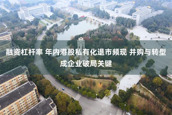 融资杠杆率 年内港股私有化退市频现 并购与转型成企业破局关键