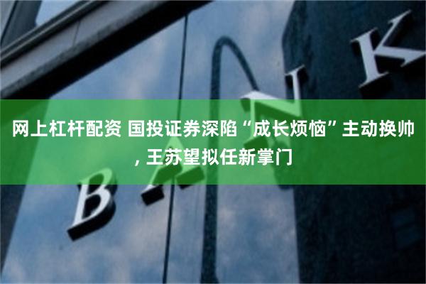 网上杠杆配资 国投证券深陷“成长烦恼”主动换帅, 王苏望拟任新掌门
