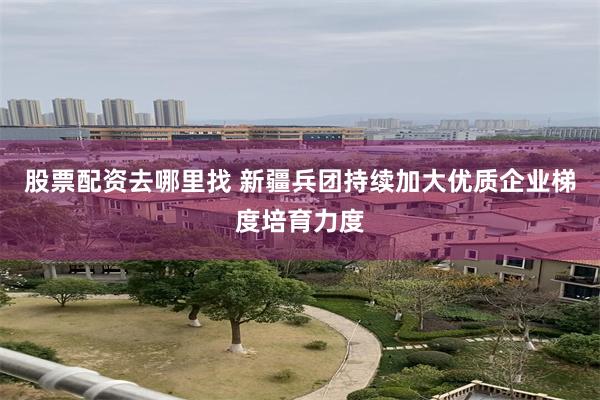 股票配资去哪里找 新疆兵团持续加大优质企业梯度培育力度